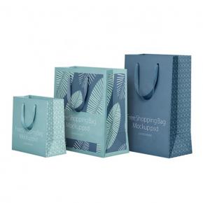 Custom blue printed paper gift bag 